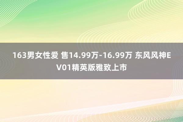 163男女性爱 售14.99万-16.99万 东风风神EV01精英版雅致上市