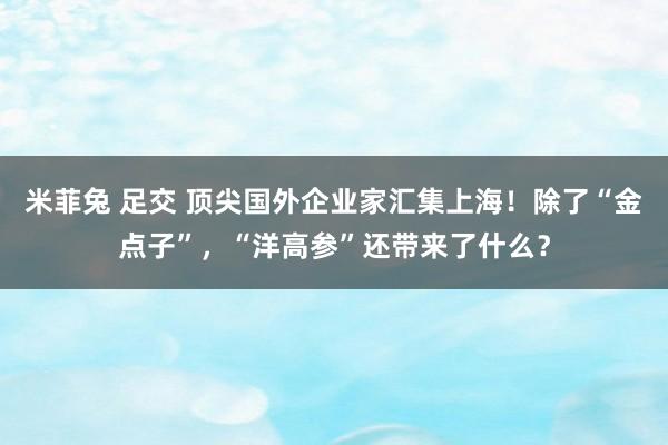 米菲兔 足交 顶尖国外企业家汇集上海！除了“金点子”，“洋高参”还带来了什么？