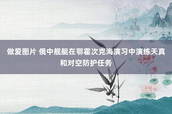 做爱图片 俄中舰艇在鄂霍次克海演习中演练天真和对空防护任务