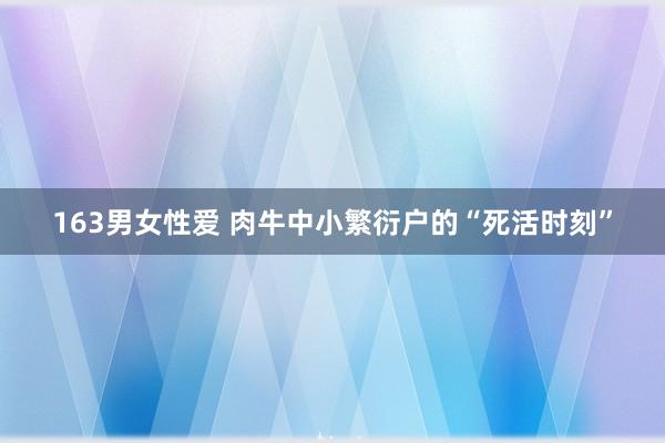 163男女性爱 肉牛中小繁衍户的“死活时刻”