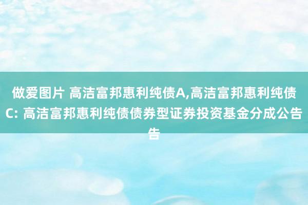 做爱图片 高洁富邦惠利纯债A，高洁富邦惠利纯债C: 高洁富邦惠利纯债债券型证券投资基金分成公告