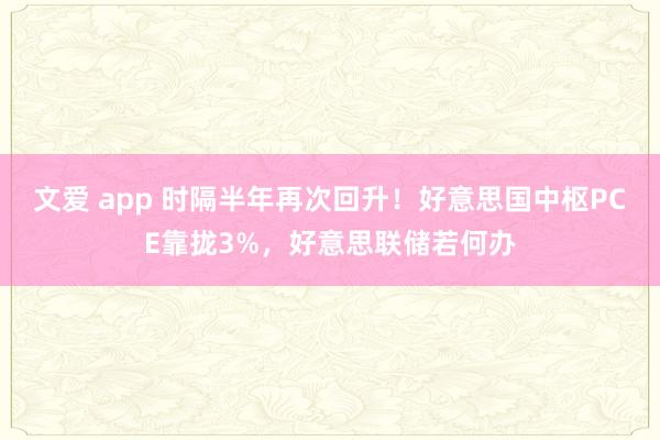 文爱 app 时隔半年再次回升！好意思国中枢PCE靠拢3%，好意思联储若何办