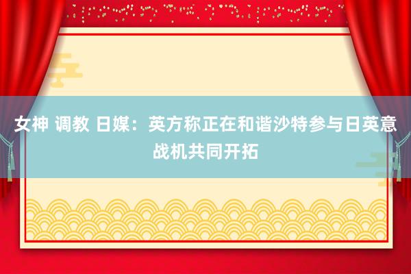 女神 调教 日媒：英方称正在和谐沙特参与日英意战机共同开拓