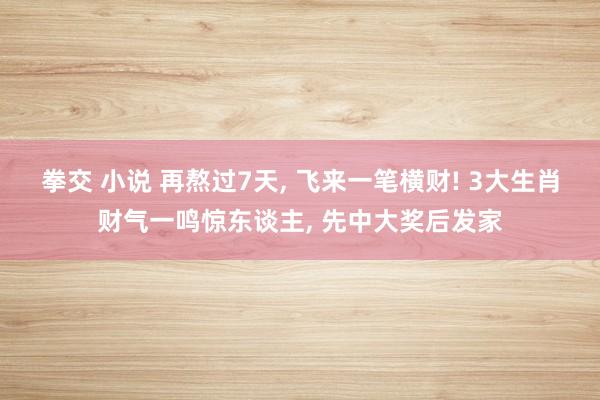拳交 小说 再熬过7天， 飞来一笔横财! 3大生肖财气一鸣惊东谈主， 先中大奖后发家