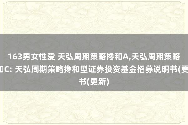 163男女性爱 天弘周期策略搀和A,天弘周期策略搀和C: 天弘周期策略搀和型证券投资基金招募说明书(更新)