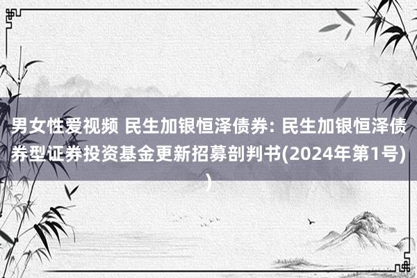 男女性爱视频 民生加银恒泽债券: 民生加银恒泽债券型证券投资基金更新招募剖判书(2024年第1号)