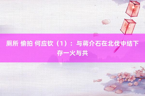 厕所 偷拍 何应钦（1）：与蒋介石在北伐中结下存一火与共