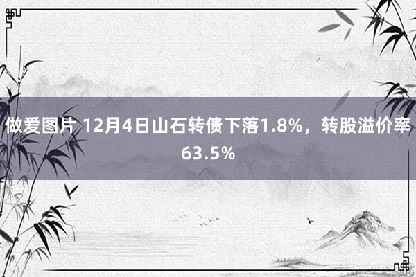 做爱图片 12月4日山石转债下落1.8%，转股溢价率63.5%