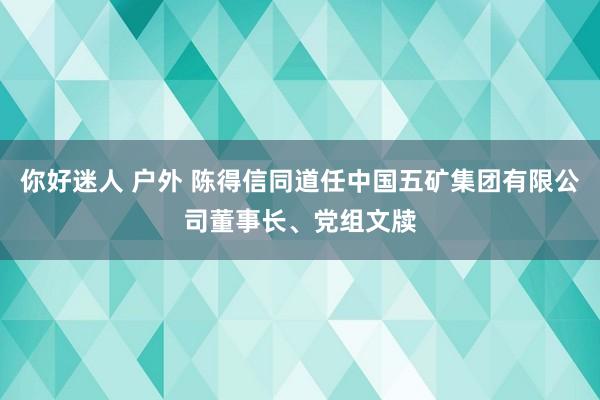 你好迷人 户外 陈得信同道任中国五矿集团有限公司董事长、党组文牍