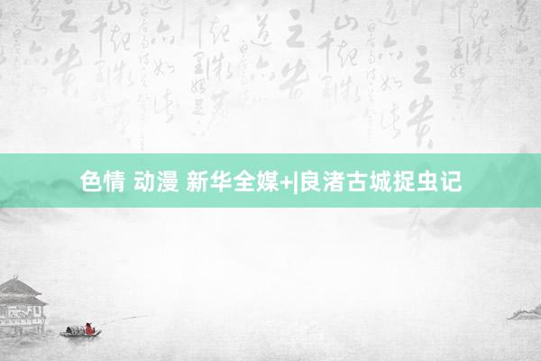 色情 动漫 新华全媒+|良渚古城捉虫记