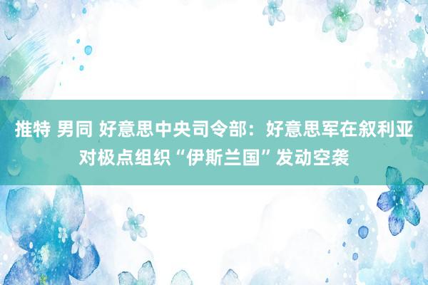 推特 男同 好意思中央司令部：好意思军在叙利亚对极点组织“伊斯兰国”发动空袭