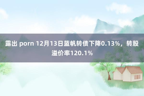 露出 porn 12月13日蓝帆转债下降0.13%，转股溢价率120.1%