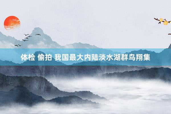 体检 偷拍 我国最大内陆淡水湖群鸟翔集