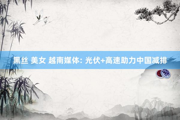黑丝 美女 越南媒体: 光伏+高速助力中国减排