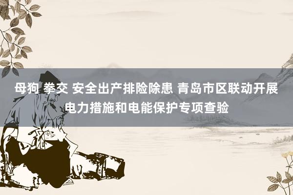 母狗 拳交 安全出产排险除患 青岛市区联动开展电力措施和电能保护专项查验