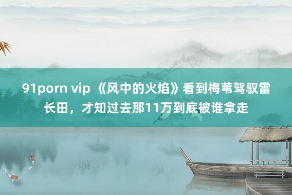 91porn vip 《风中的火焰》看到梅苇驾驭雷长田，才知过去那11万到底被谁拿走