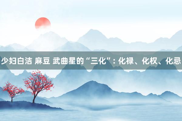 少妇白洁 麻豆 武曲星的“三化”: 化禄、化权、化忌