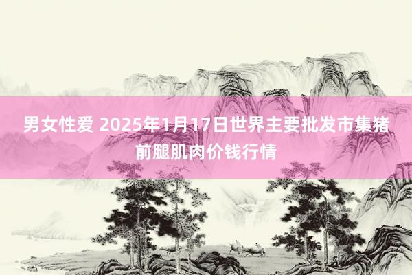 男女性爱 2025年1月17日世界主要批发市集猪前腿肌肉价钱行情