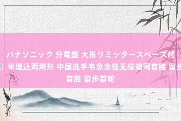 パナソニック 分電盤 大形リミッタースペース付 露出・半埋込両用形 中国选手韦念念佳无缘澳网首胜 留步首轮