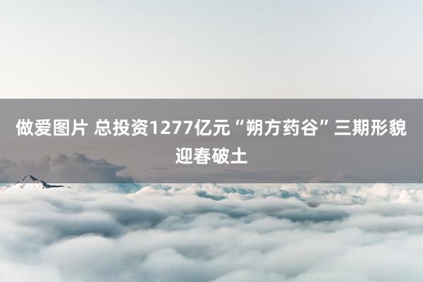 做爱图片 总投资1277亿元“朔方药谷”三期形貌迎春破土