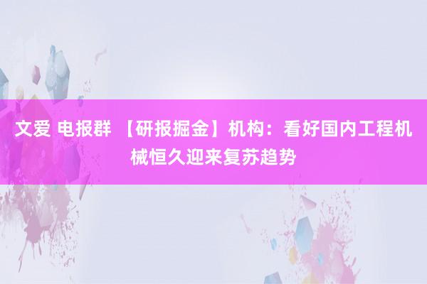 文爱 电报群 【研报掘金】机构：看好国内工程机械恒久迎来复苏趋势