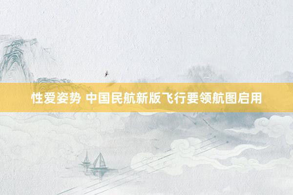 性爱姿势 中国民航新版飞行要领航图启用