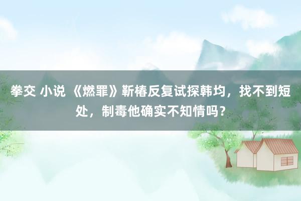 拳交 小说 《燃罪》靳椿反复试探韩均，找不到短处，制毒他确实不知情吗？