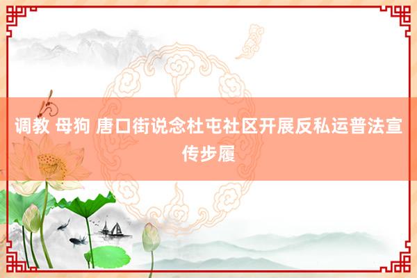 调教 母狗 唐口街说念杜屯社区开展反私运普法宣传步履