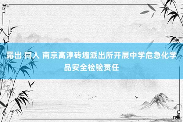 露出 同人 南京高淳砖墙派出所开展中学危急化学品安全检验责任