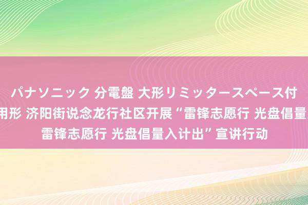 パナソニック 分電盤 大形リミッタースペース付 露出・半埋込両用形 济阳街说念龙行社区开展“雷锋志愿行 光盘倡量入计出”宣讲行动