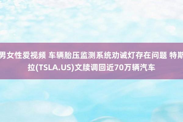 男女性爱视频 车辆胎压监测系统劝诫灯存在问题 特斯拉(TSLA.US)文牍调回近70万辆汽车