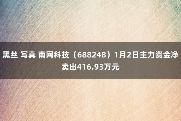 黑丝 写真 南网科技（688248）1月2日主力资金净卖出416.93万元