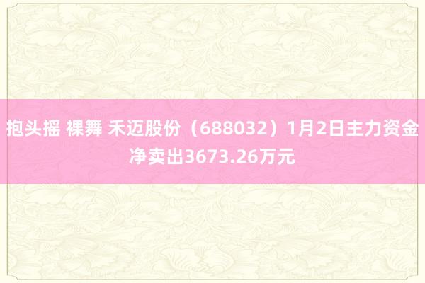 抱头摇 裸舞 禾迈股份（688032）1月2日主力资金净卖出3673.26万元