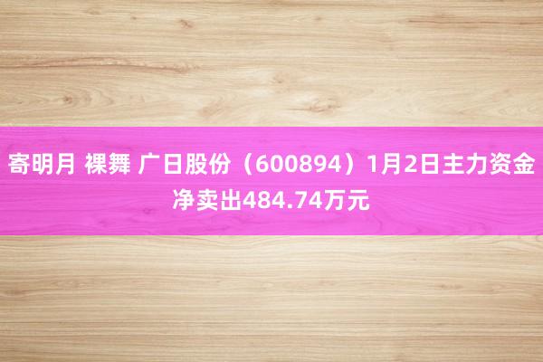 寄明月 裸舞 广日股份（600894）1月2日主力资金净卖出484.74万元
