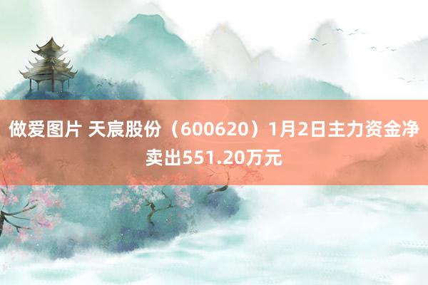 做爱图片 天宸股份（600620）1月2日主力资金净卖出551.20万元
