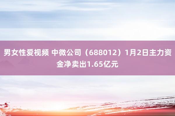 男女性爱视频 中微公司（688012）1月2日主力资金净卖出1.65亿元