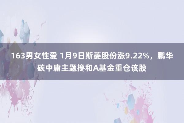 163男女性爱 1月9日斯菱股份涨9.22%，鹏华碳中庸主题搀和A基金重仓该股