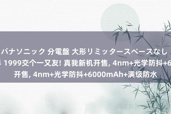 パナソニック 分電盤 大形リミッタースペースなし 露出・半埋込両用形 1999交个一又友! 真我新机开售， 4nm+光学防抖+6000mAh+满级防水