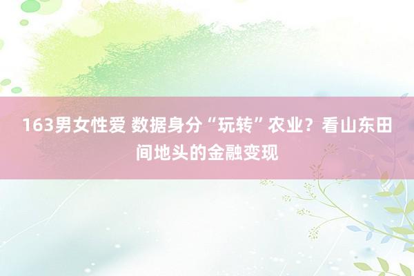 163男女性爱 数据身分“玩转”农业？看山东田间地头的金融变现