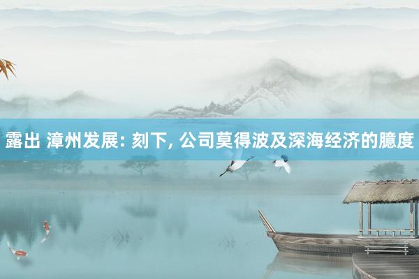 露出 漳州发展: 刻下， 公司莫得波及深海经济的臆度
