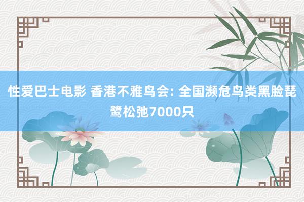 性爱巴士电影 香港不雅鸟会: 全国濒危鸟类黑脸琵鹭松弛7000只