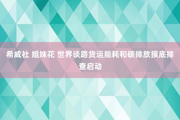 希威社 姐妹花 世界谈路货运能耗和碳排放摸底排查启动