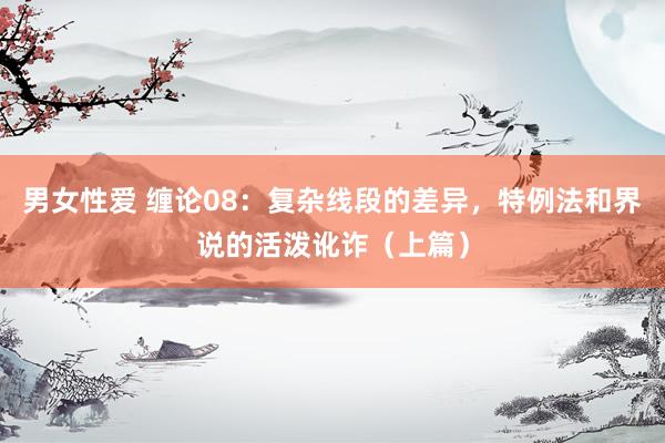 男女性爱 缠论08：复杂线段的差异，特例法和界说的活泼讹诈（上篇）