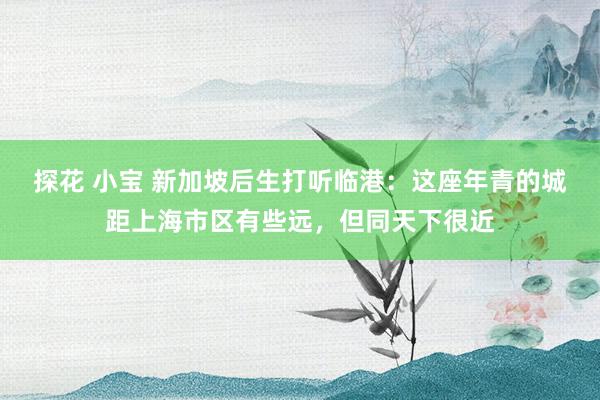 探花 小宝 新加坡后生打听临港：这座年青的城距上海市区有些远，但同天下很近