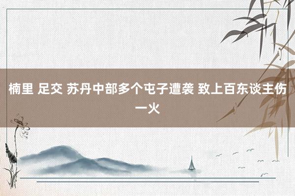楠里 足交 苏丹中部多个屯子遭袭 致上百东谈主伤一火