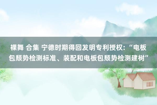 裸舞 合集 宁德时期得回发明专利授权: “电板包颓势检测标准、装配和电板包颓势检测建树”