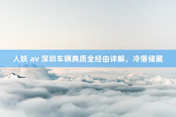 人妖 av 深圳车辆典质全经由详解，冷落储藏