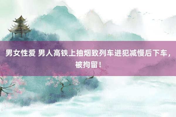 男女性爱 男人高铁上抽烟致列车进犯减慢后下车，被拘留！