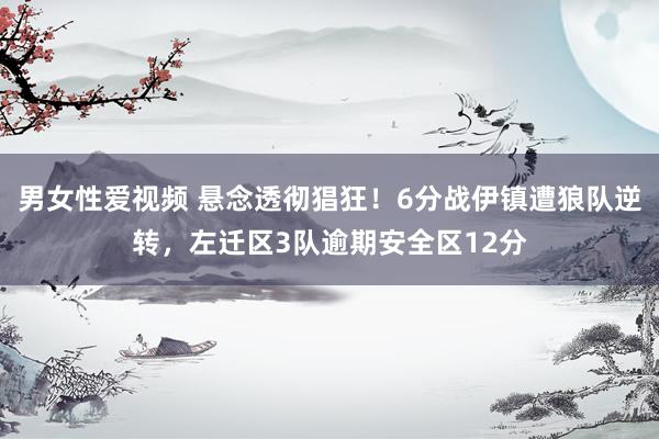 男女性爱视频 悬念透彻猖狂！6分战伊镇遭狼队逆转，左迁区3队逾期安全区12分