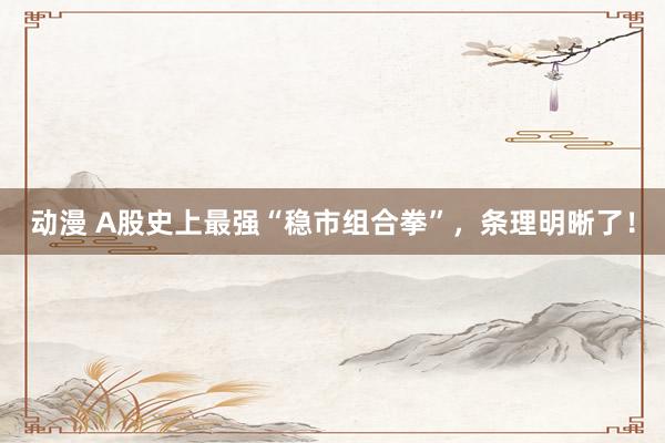 动漫 A股史上最强“稳市组合拳”，条理明晰了！